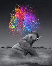 Load image into Gallery viewer, Paint by Numbers Kit-Beautiful Elephant