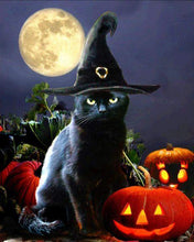 Load image into Gallery viewer, Paint by Numbers Kit -Black Cat
