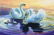 Load image into Gallery viewer, DIY Painting By Numbers-Swan Playing In The Water