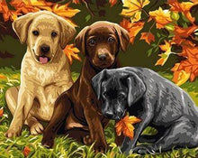 Load image into Gallery viewer, 3 CUTE COLORFUL PUPPIES
