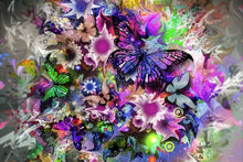 Load image into Gallery viewer, BUTTERFLY EXPLOSION - DIY PAINTING BY NUMBERS KIT
