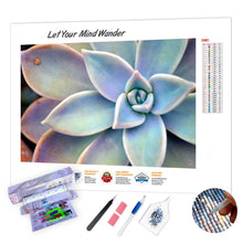 Load image into Gallery viewer, SUCCULENT PLANT - DIY PAINTING BY NUMBERS KIT
