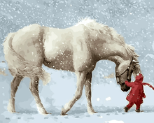 Load image into Gallery viewer, WHITE HORSE- DIY PAINTING BY NUMBERS KIT
