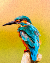 Load image into Gallery viewer, Paint by Numbers Kit – Delicate Hummingbird
