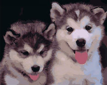 Load image into Gallery viewer, Paint by Numbers Kit - Husky Puppy Buddies
